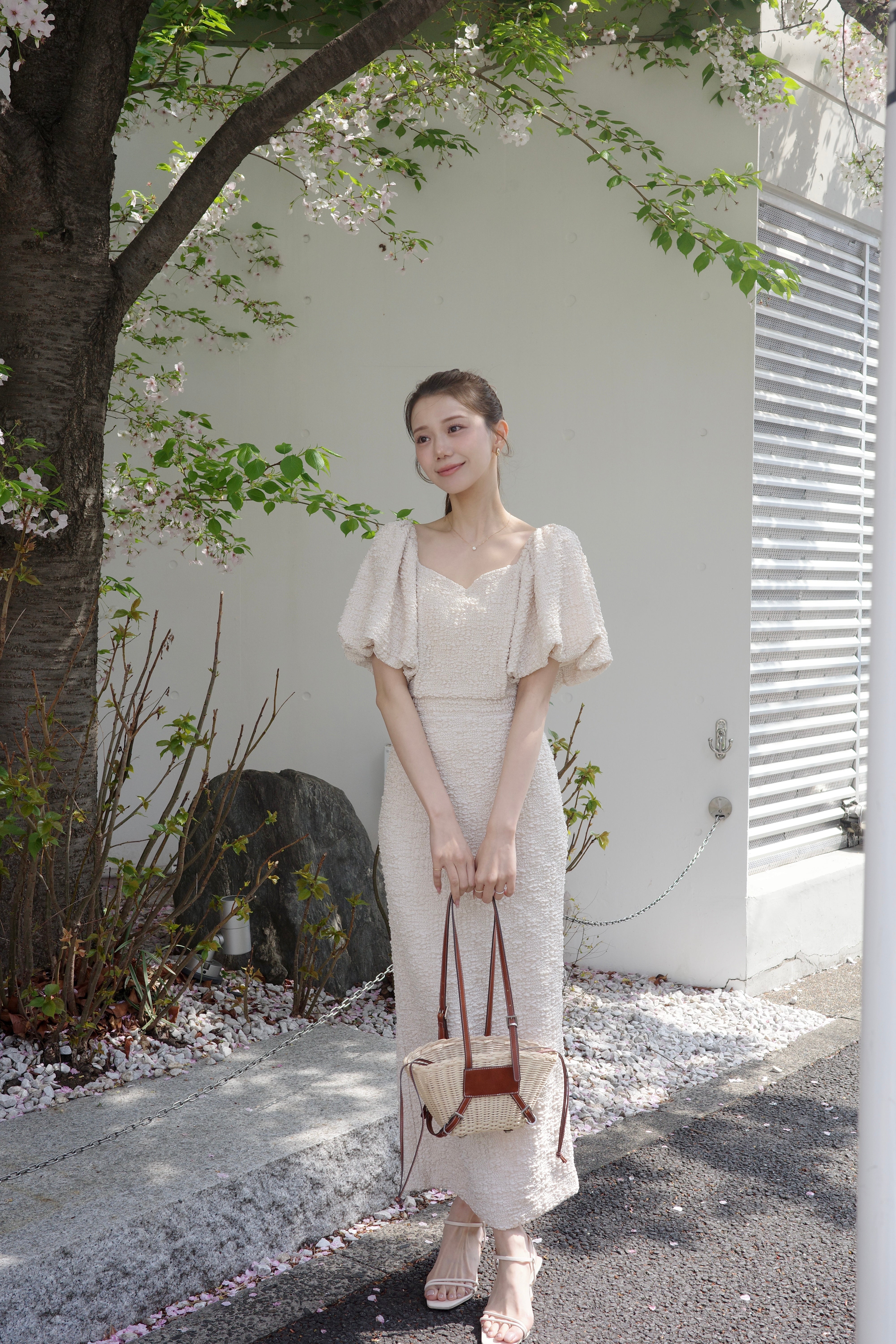 poláura ソフトブルームバックリボンワンピース ソフトブルームバックリボンワンピース – poláura OFFICIAL ONLINE STORE
